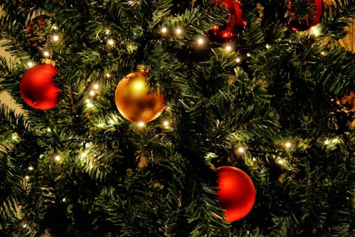 Bari - Christmas in Wonderland