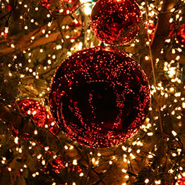Arienzo - Arienzo Christmas Village - Parco Luigi Vigliotti